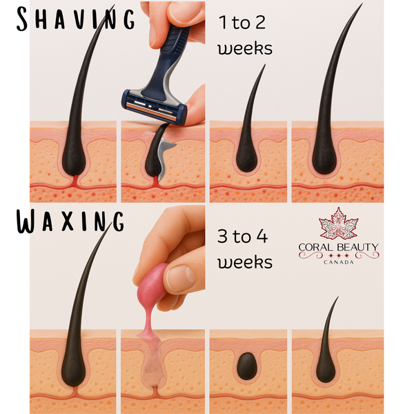 Shaving vs Waxing: Which Is Better? | Coral Beauty USA
